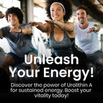 Mito Renewal Complete Urolithin A supplement supporting cellular rejuvenation