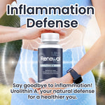 Urolithin A and its studied anti-inflammatory properties